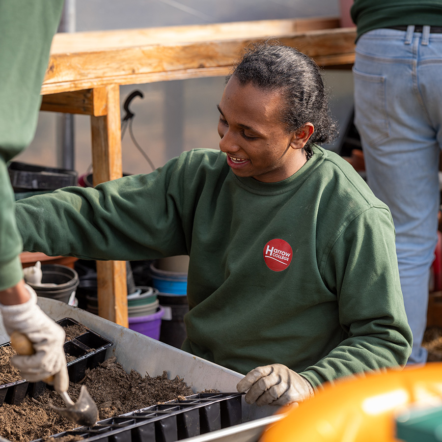 Harrow Weald Campus Foundation Learning student working in the dedicated outdoor area as part of the Spring House centre. He and other students are potting soil into multi-plant pot trays. He is wearing a green jumper with the Harrow College red logo.