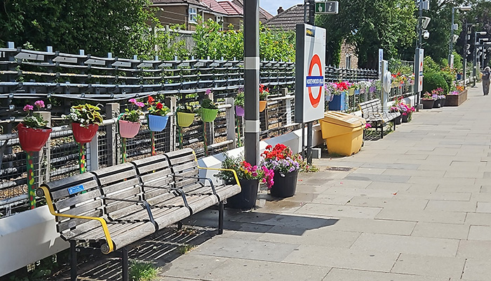 Displays of hanging flower pots along the station fence as well as tubs of flowers as part of the Northwood Hills Underground Station Community Garden Project.